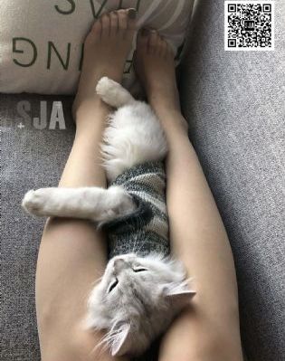 黄瓜视频污污污在线观看_BD国语高清在线观看